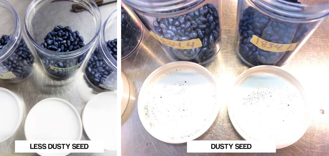seed treatment dust test